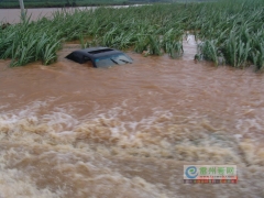 雷州水灾导致5人死亡