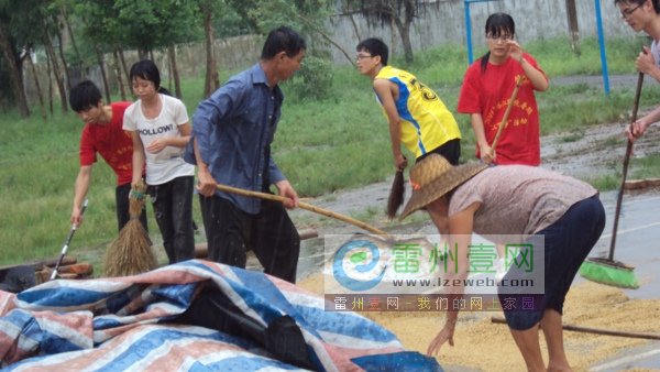 冒着大雨帮助村民抢收稻谷